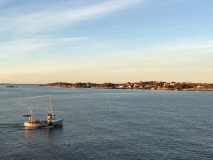 Marint Grenseforum Skagerrak – Et friskt og produktivt hav