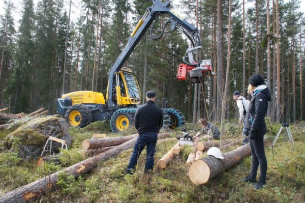 Skogsjobb i Gränsland