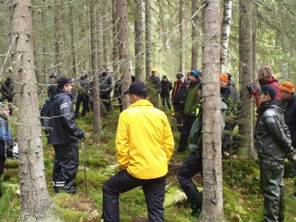 Idéer växer i skogsnätverk