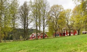 Loviseberg Herrgård Biokuma gård